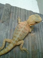 20130708_121122.jpg