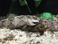 DSCF5951.jpg