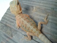 20130708_121545.jpg