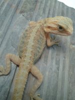 20130708_121933.jpg