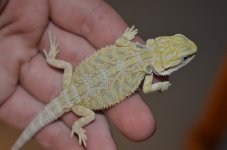 DSC_0365.jpg