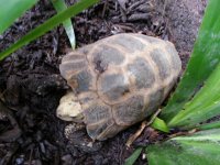 20130727_160157.jpg
