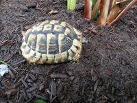 20130727_160047.jpg