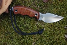 Lacewood EDC.jpg