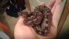 20130512_101039.jpg