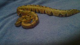 20130514_200540.jpg