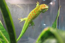 IMG_2423.jpg