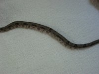 IMG_1421.jpg