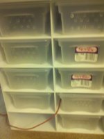 2010-08-31_11-00-16_617.jpg
