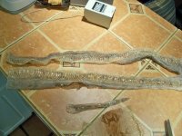 peruvian fresh shed 026.jpg