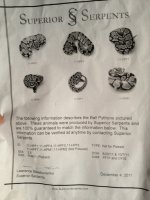 het pied papers.jpg