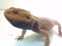 2013-05-24_16-40-49_574.jpg
