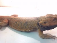 2013-05-24_16-41-17_812.jpg