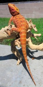 ember1.jpg