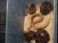 20130708_201739.jpg