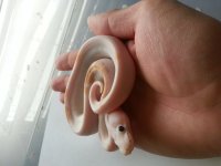 20130708_200835.jpg