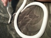 20130708_202414.jpg