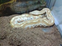 IMG_20130416_141438.jpg