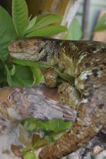 IMG_4921.jpg