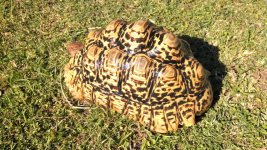IMG_20130524_162822.jpg