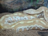 IMG_20130416_141509.jpg