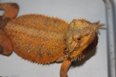 IMG_7324.jpg