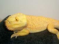 100_2003.jpg