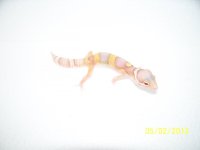 2013 babies 029.jpg