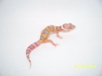 2013 babies 021.jpg