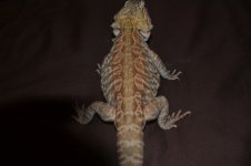 DSC_0012.jpg