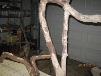IMG_2751.jpg