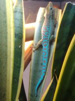 2012-03-22131107.jpg