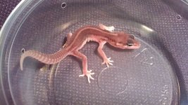 IMG_20130804_141659_053.jpg