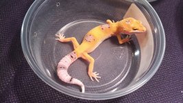 IMG_20130804_141834_768.jpg