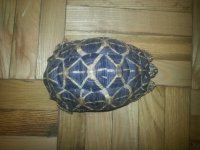20130619_224607.jpg 20130619_224607.jpg