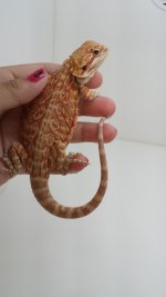 20130708_084502.jpg
