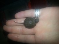 20130621_075634.jpg 20130621_075634.jpg