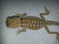 20130706_204210.jpg