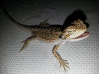 20130620_164317.jpg