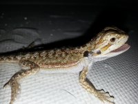 20130620_164307.jpg