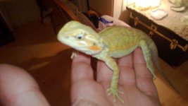 WP_20130517_003.jpg