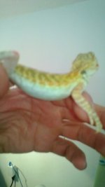WP_20130423_003.jpg