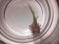 20130615_150358.jpg