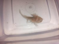 20130615_150314.jpg