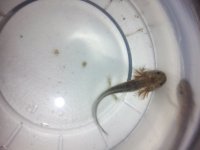 20130615_150322.jpg
