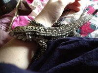 smaug9.jpg
