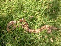 2013-06-11 15.48.05.jpg