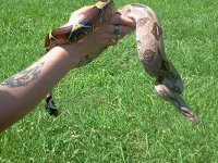 2013-06-11 15.50.29.jpg
