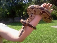 2013-06-11 15.46.35.jpg