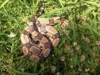 2013-06-11 15.49.27.jpg